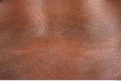 Photo Textures of Human Skin